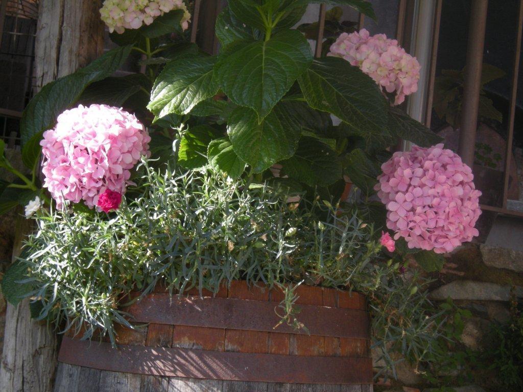 Lasmari'S Bouquet Sykopetra Exterior photo